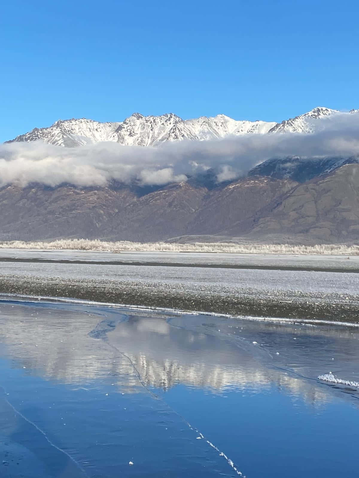 Шале «Бродячий лось» gallery 48