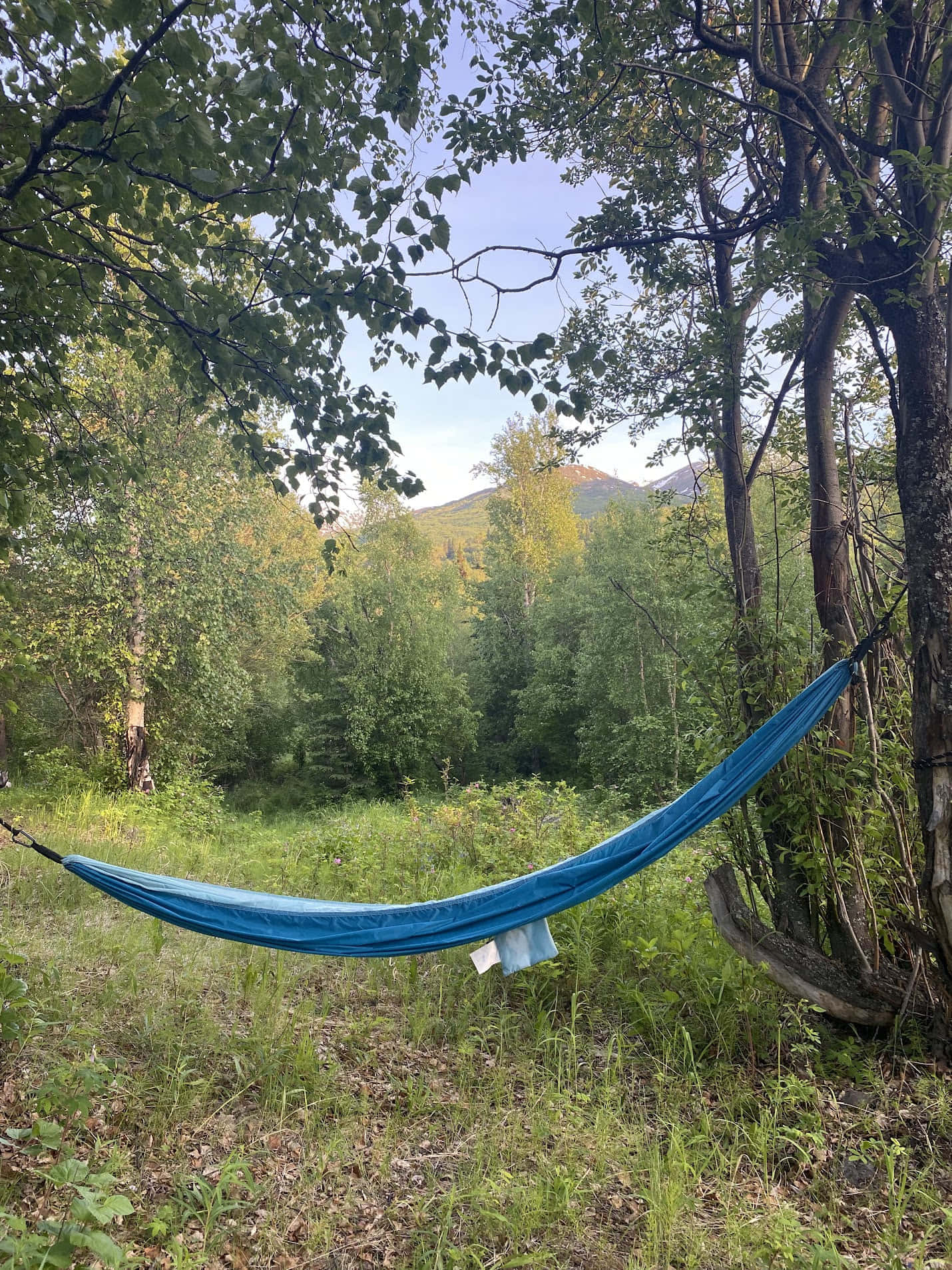 אוהל משלך gallery 4