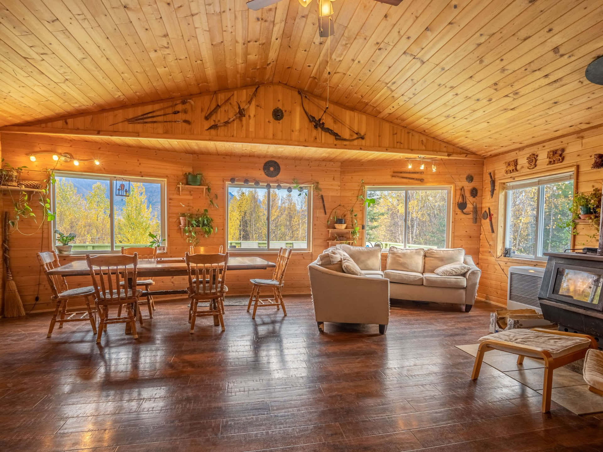 אוהל משלך gallery 17