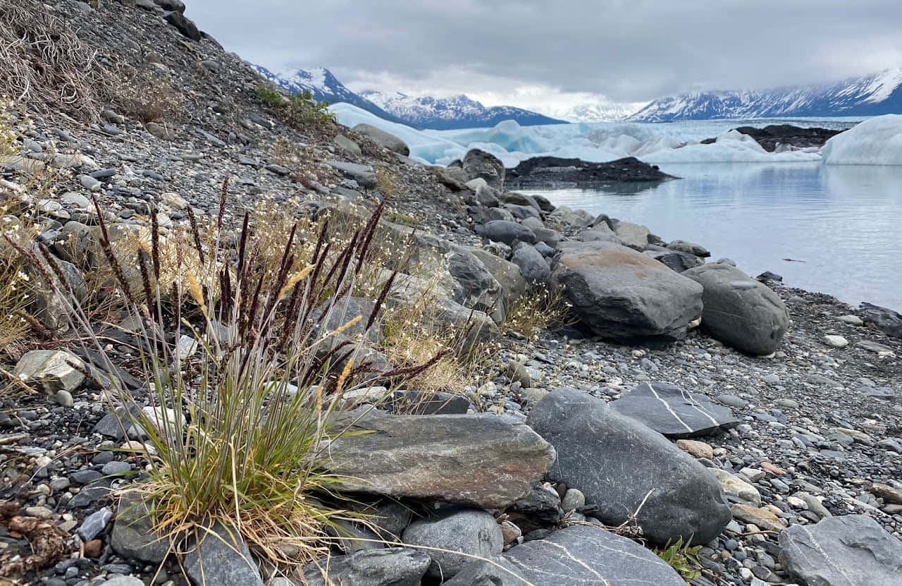 Поездка на багги (6-и местные UTV) к озеру с айсбергами - 3