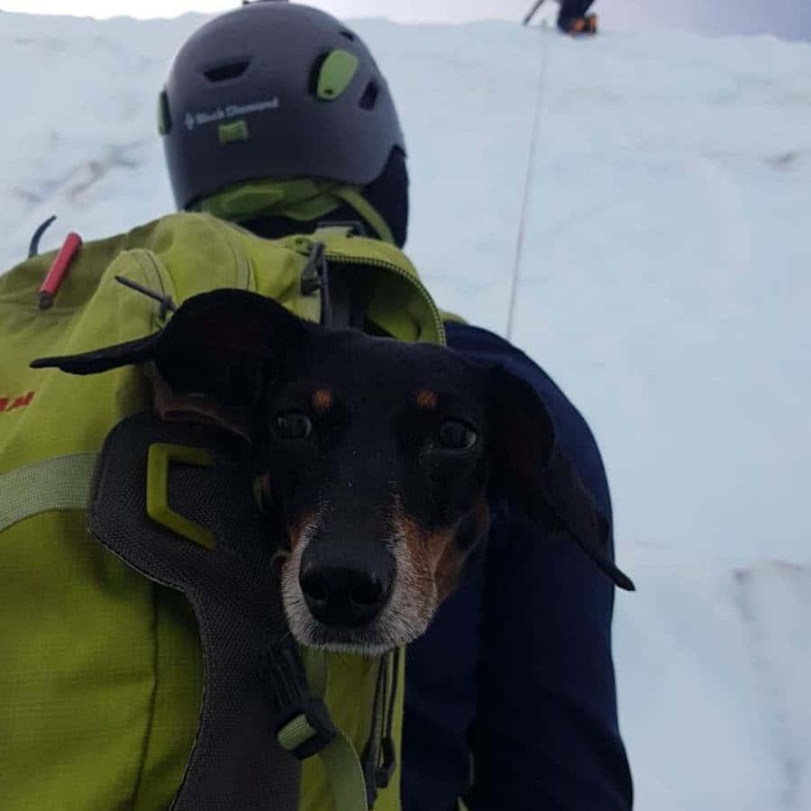 Стрельба по мишеням