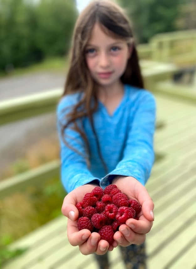 Ягоды-грибы