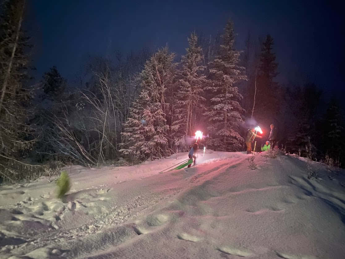 Зимняя Аляска в феврале - 7