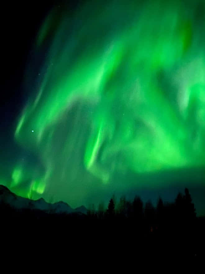 Зимняя Аляска в феврале - 3