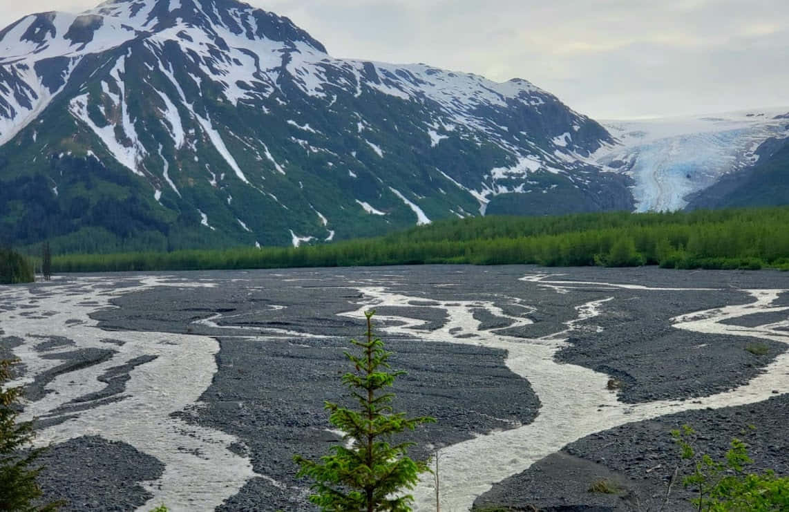 Аляска за 6 дней - 5