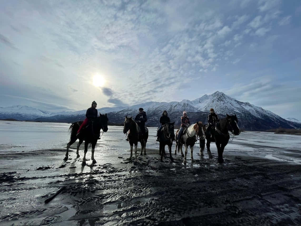 Аляска за 7 дней - 4